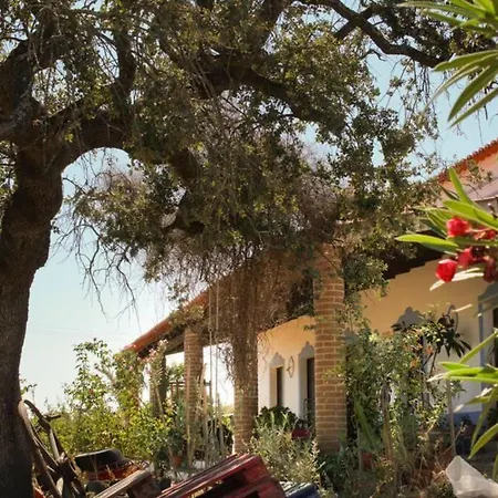 Aproveite O Sabor Do Alentejo Villa Vila Verde de Ficalho Exterior photo
