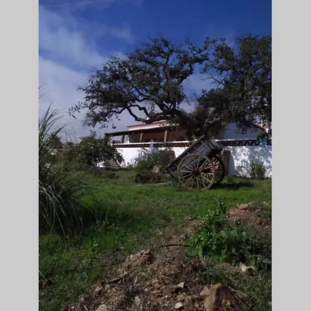 Aproveite O Sabor Do Alentejo Villa Vila Verde de Ficalho Exterior photo