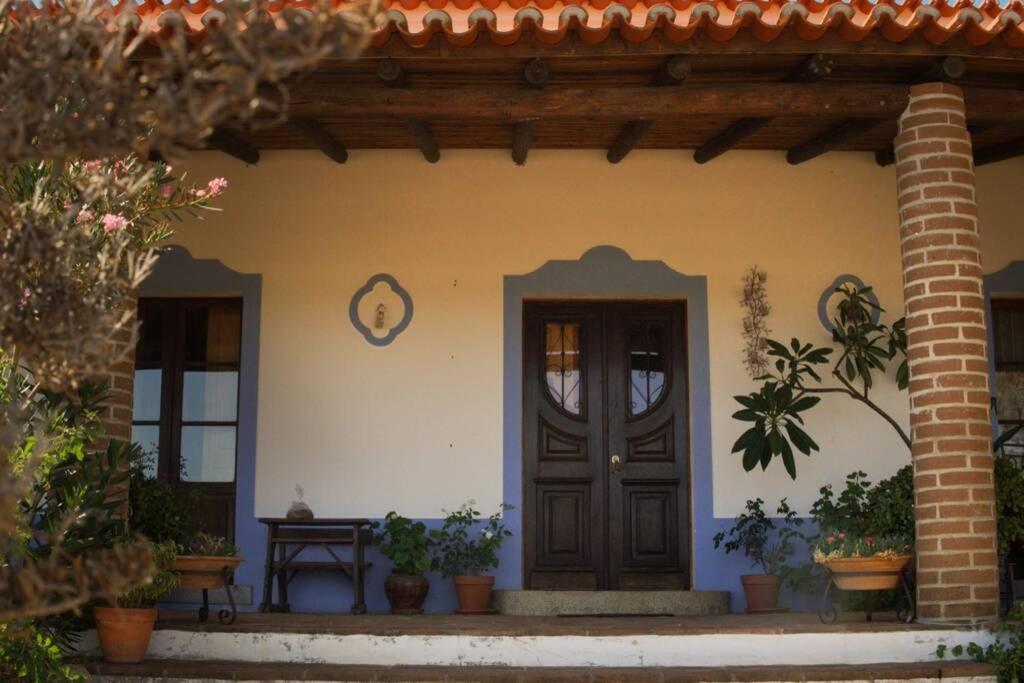 Aproveite O Sabor Do Alentejo