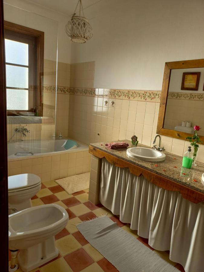 Aproveite O Sabor Do Alentejo Chalet *
