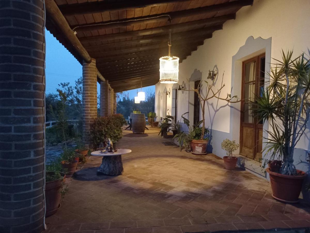 Aproveite O Sabor Do Alentejo Chalet