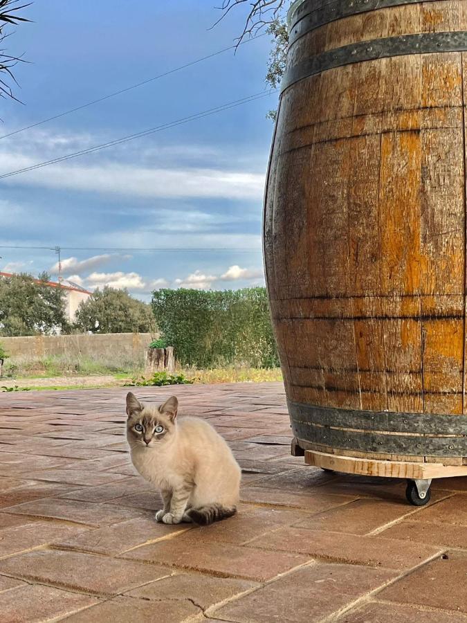 Aproveite O Sabor Do Alentejo Chalet *