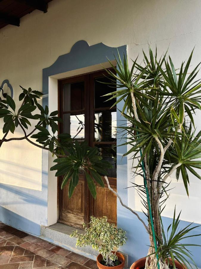 Aproveite O Sabor Do Alentejo